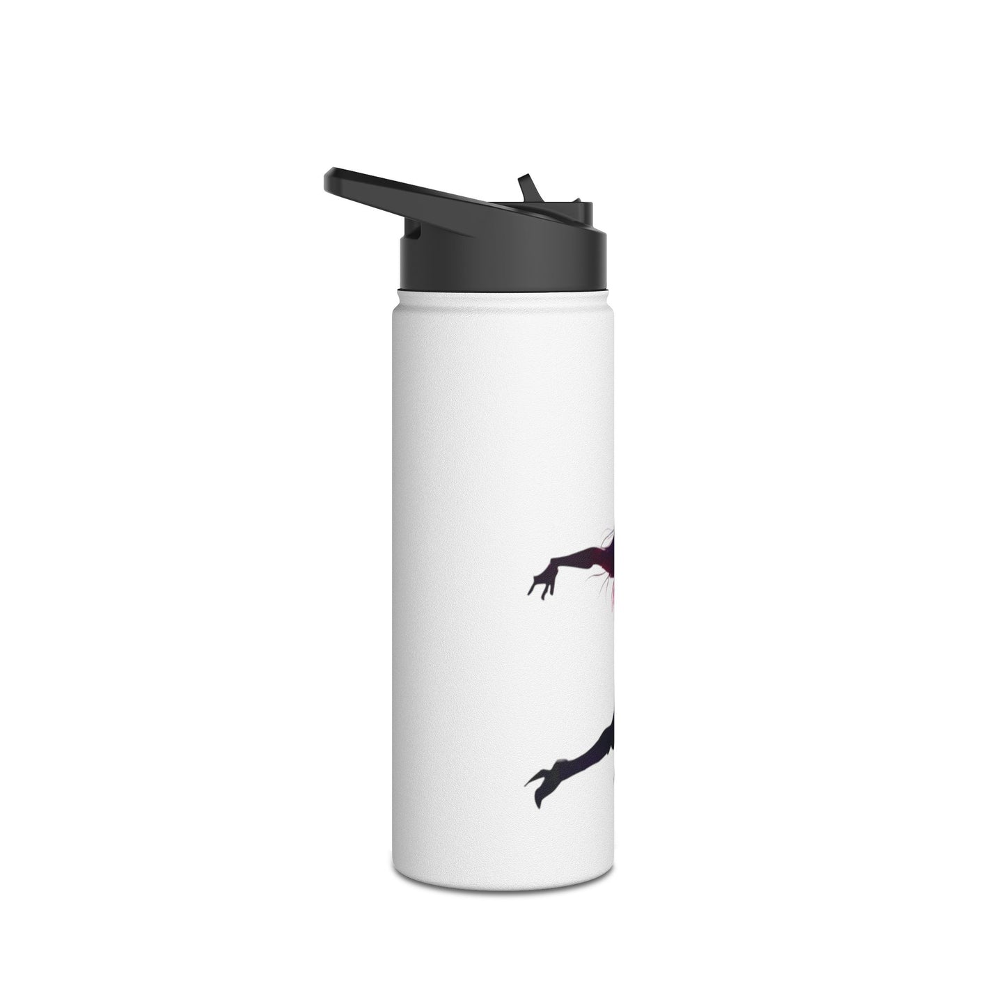 Stainless Steel Water Bottle, Standard Lid